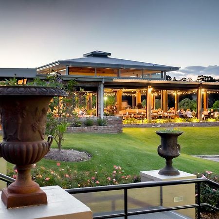Harrigan'S Hunter Valley Pokolbin Exteriér fotografie
